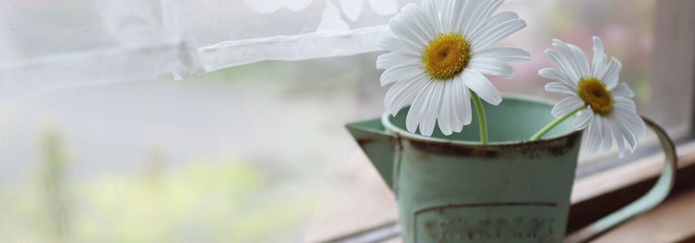 京都市花き総合流通センターイメージ１