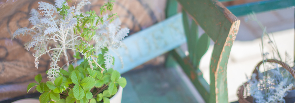 京都市花き総合流通センターイメージ４